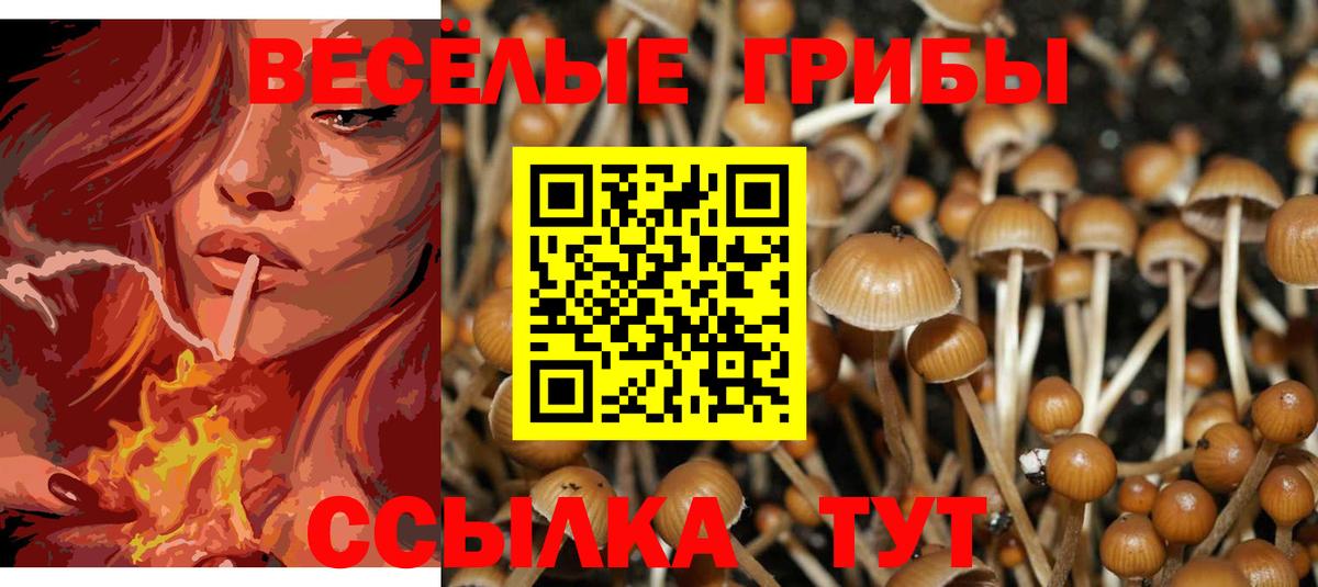 Псилоцибиновые грибы Magic Shrooms  Вход с VPN  Галлюциногенные грибы Psilocybe  Волгодонск 
